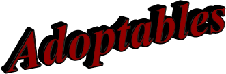 Adoptables